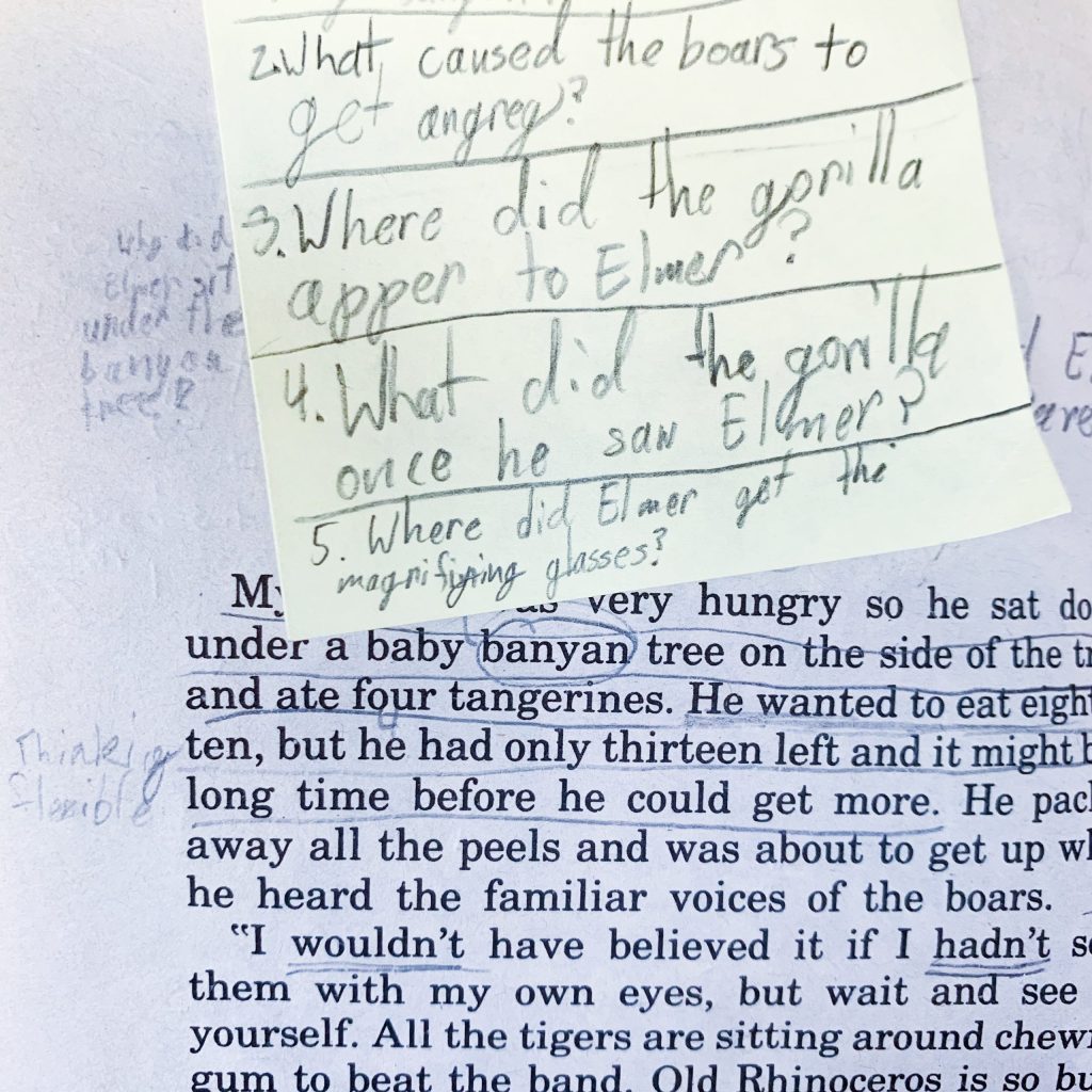 Questioning Strategy while Reading